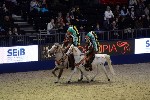 Quadrille - 00236